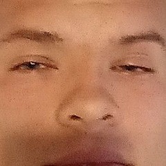 DylanDynamite