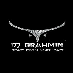 Dj Brahmin