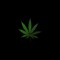Weed