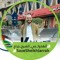 مصطفى سعيد