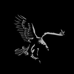 x077xx077