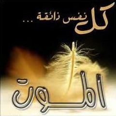Ahmed Ahmed