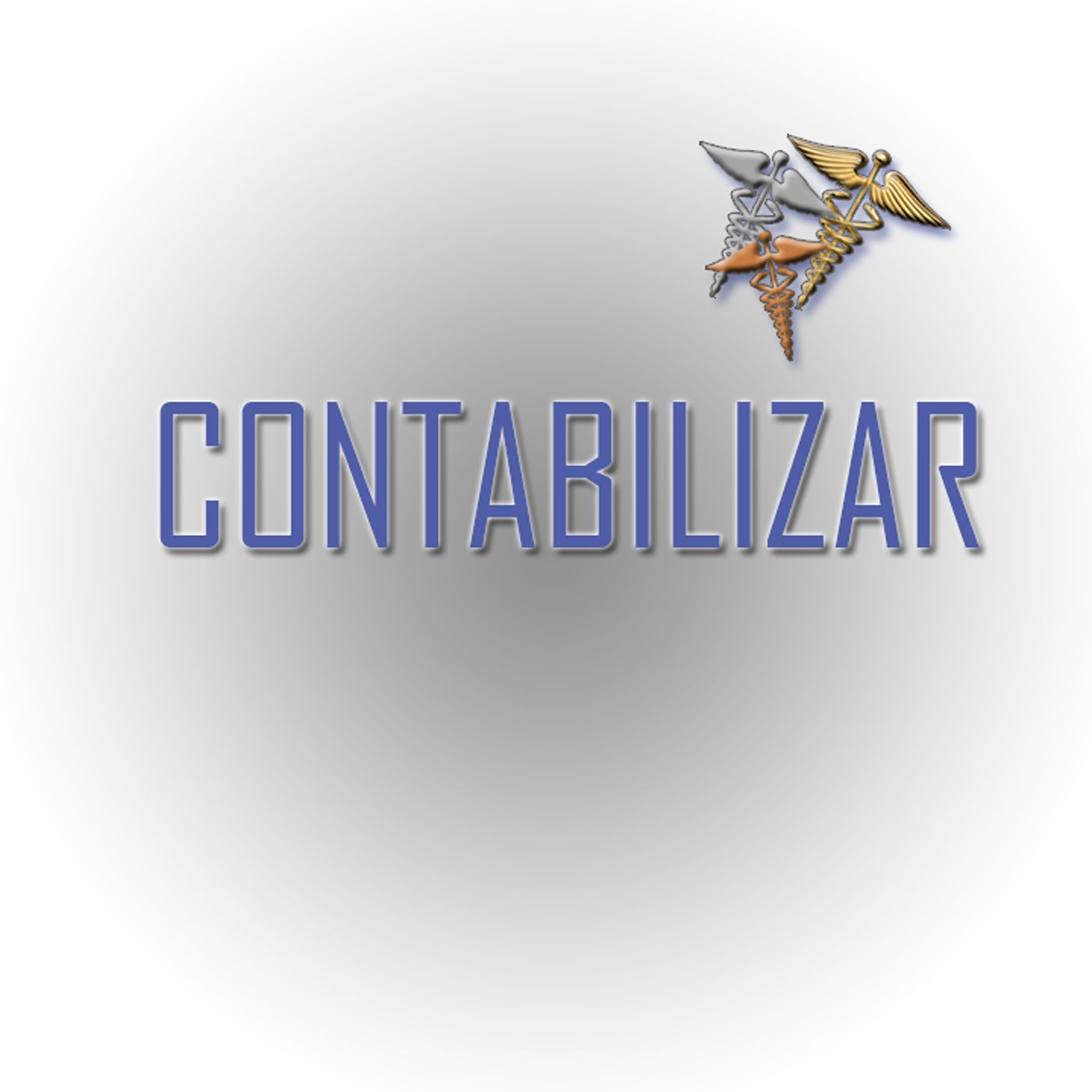 Contabilizar