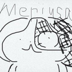 Meriusa
