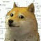 The Center Doggo