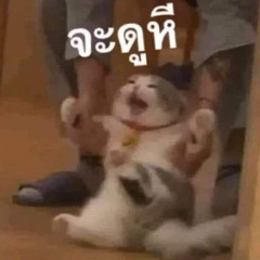 Jakkarin Jantamoka