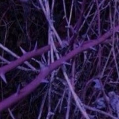 Distant(prod.Hypnotize)