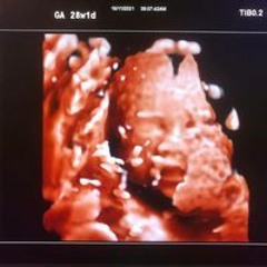 Jan Michael Domalanta