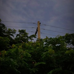 p_kien