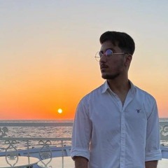 mohammad amin Nargesi