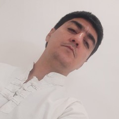 مهدی شبکه ساز