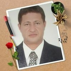 Amgad Hekail