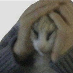 :0