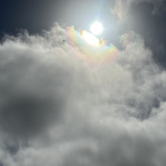 • • • • • •