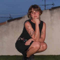 siproeta