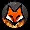 BlazeFoxN30