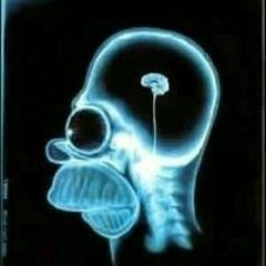 Marcos David Ortiz Vasconez