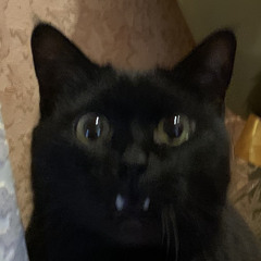 4844