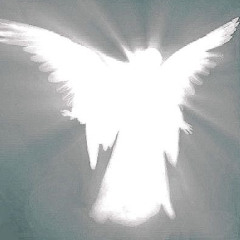User 307260592
