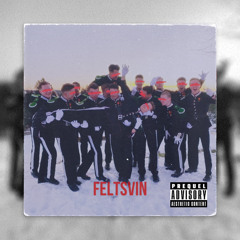 FeltSvin