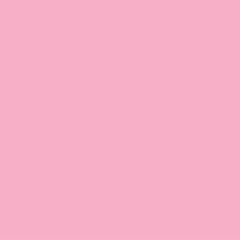 🎀🌷