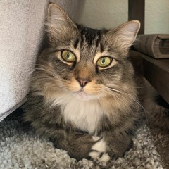 Kellianne Rapoza Love