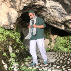 hamed aene