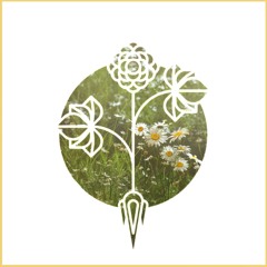 Ginseng