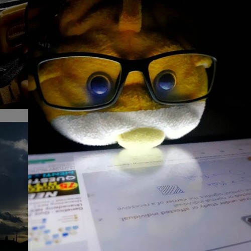 Janam Janam (slowed + Reverb) Arijit Singh [dilwale]