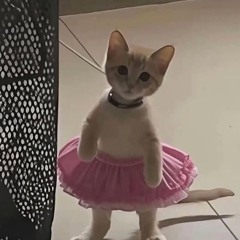 보호관찰 3년