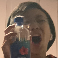 lil ferda