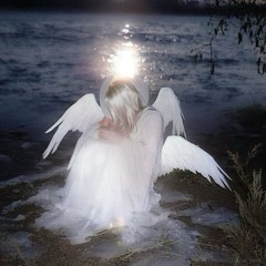 feverxwhite