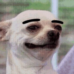JB