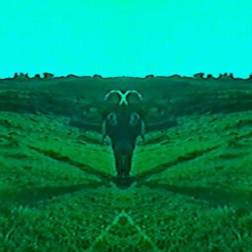 Brassica’s avatar