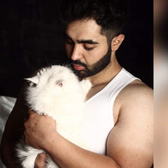 simba afshari