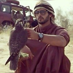 بوعسكور الاماراتي