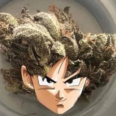 User 309356092