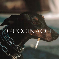 GUCCINACCI