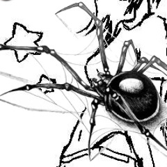 ℮𝔱𝔥℮𝔯𝔫℮℮𝔡𝔩℮