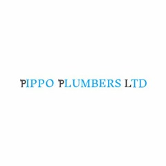 Expert Tips for Choosing the Right Plumber to Fix Your Leaking Shower