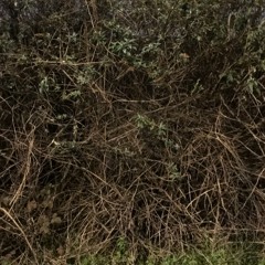 llllllllllllllllllllllllllllllllllll