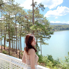 Ly Truc Dinh