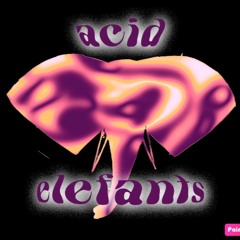 Acid Elefants