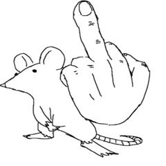 MAROOONI