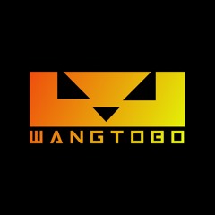 DJ WANGTOBO 2025