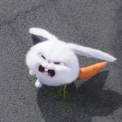 snowballrabbit