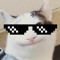 Belu_Hoang