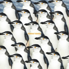 Cyrillic Penguins