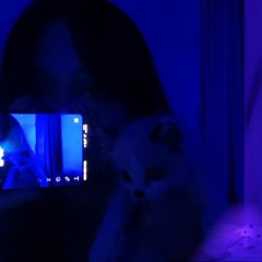 qwix_03