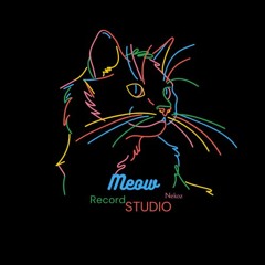 MeowRecord